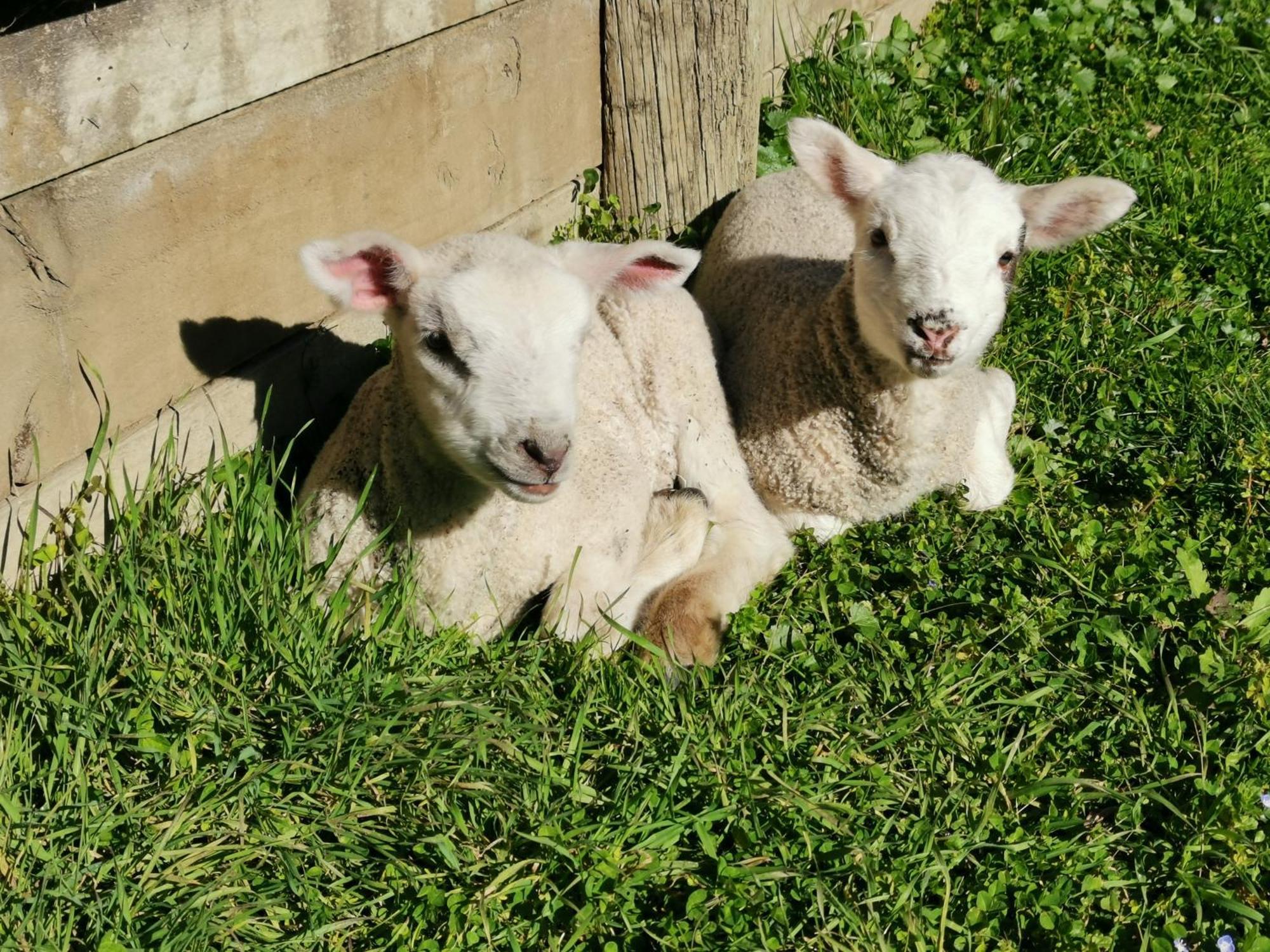 Farm Stay On Te Awa Cycleway Tamahere 외부 사진