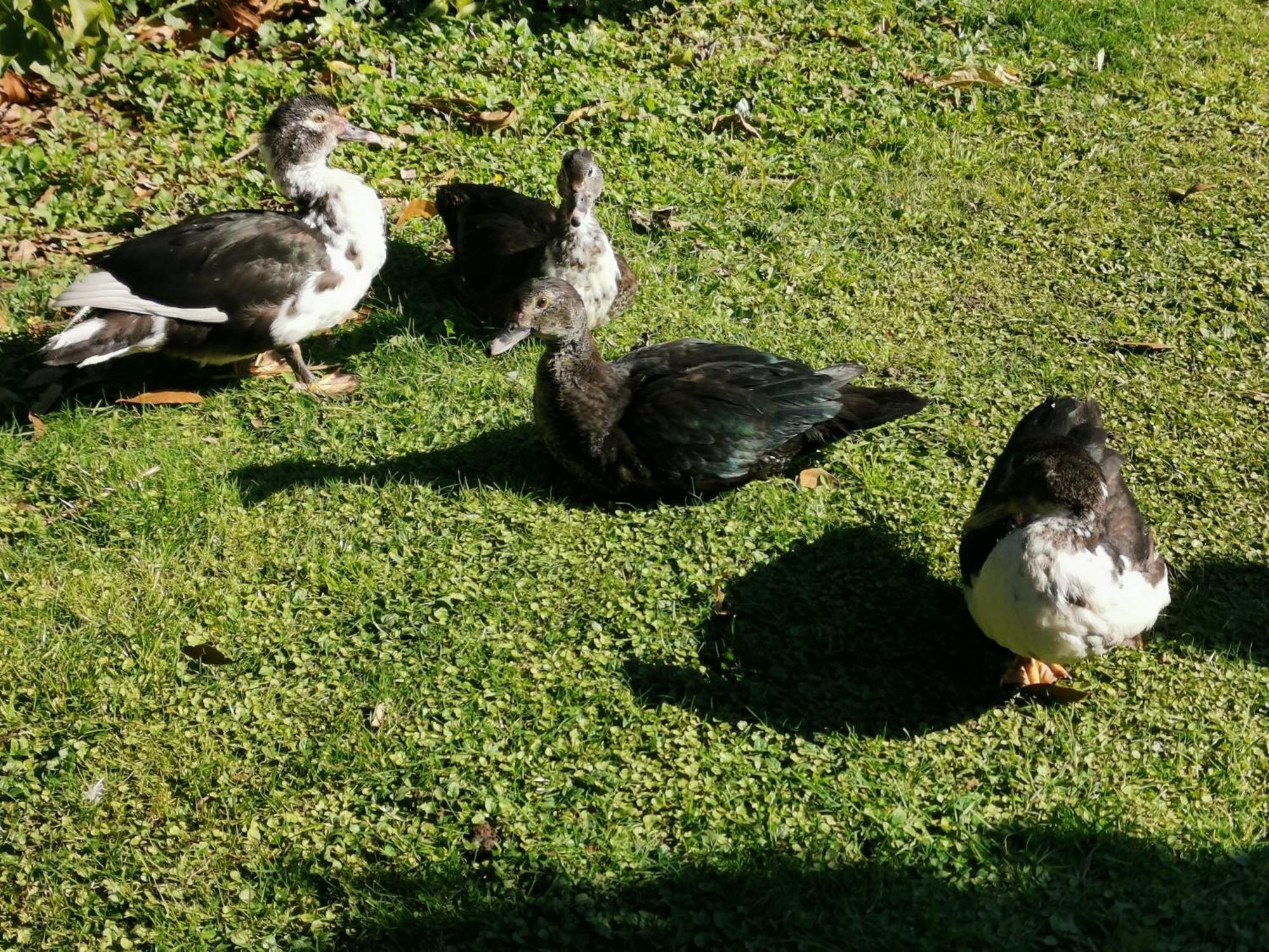 Farm Stay On Te Awa Cycleway Tamahere 외부 사진